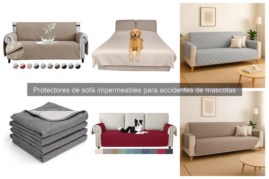 Cómo limpiar protectores de sofá impermeables para mascotas