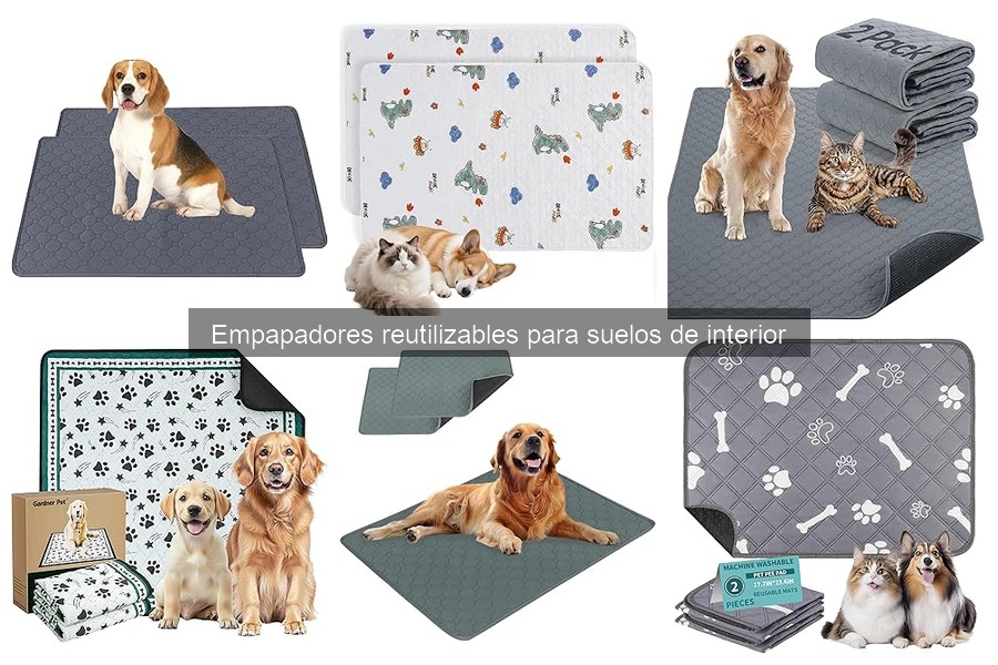 Cómo limpiar y mantener empapadores reutilizables para mascotas