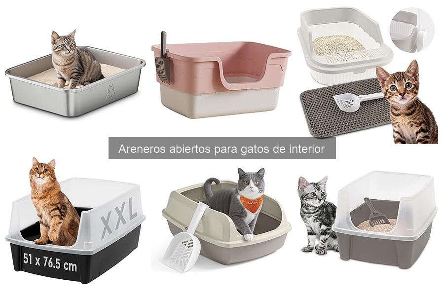 Cómo limpiar y mantener un arenero abierto para gatos