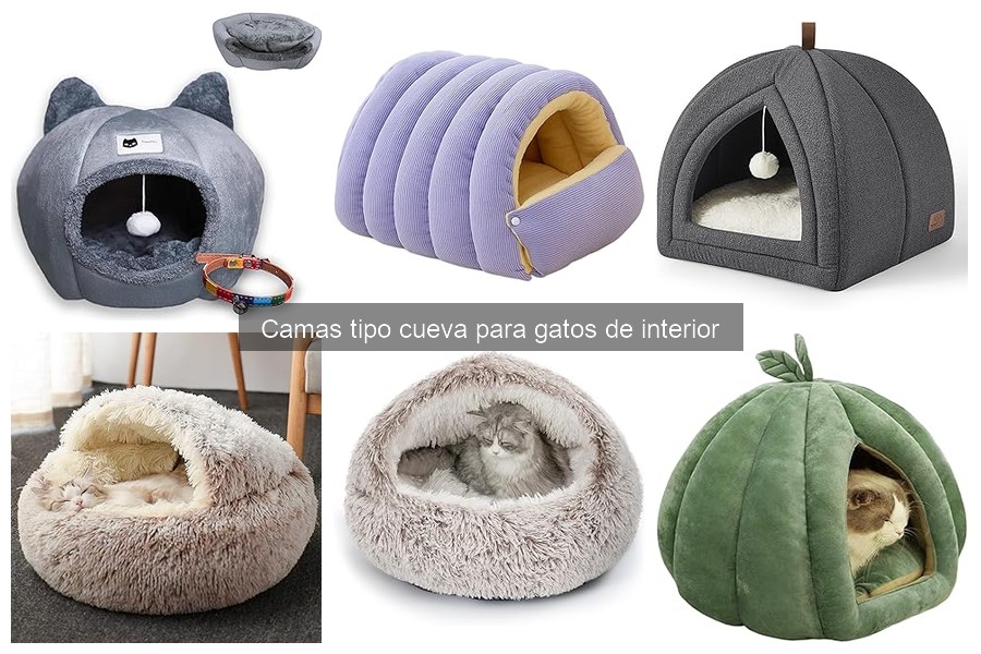 Cómo limpiar y mantener una cama tipo cueva para gatos