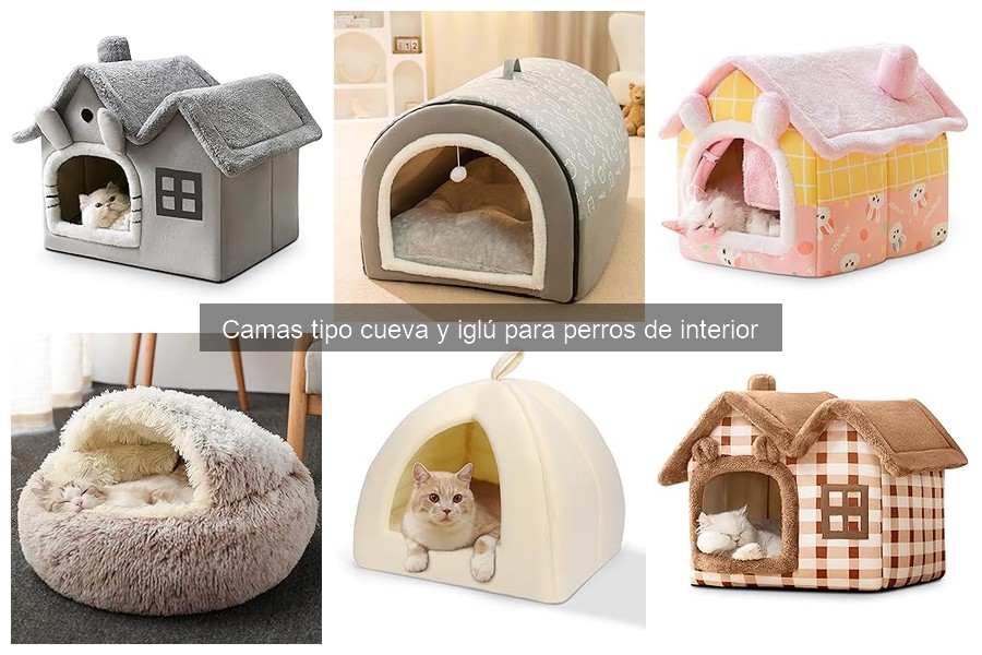 Cómo mantener camas tipo cueva para perros y gatos