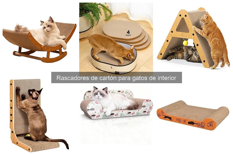 Cómo mantener rascadores de cartón para gatos en buen estado