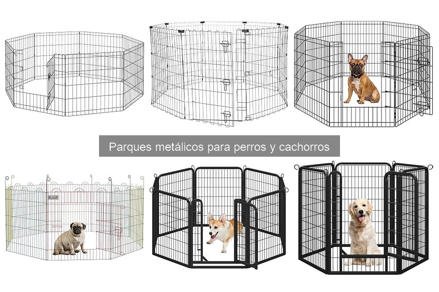 Cómo mantener un parque metálico para perros en perfecto estado