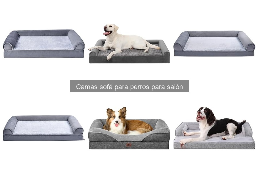 Cómo mantener y limpiar camas sofá para perros fácilmente
