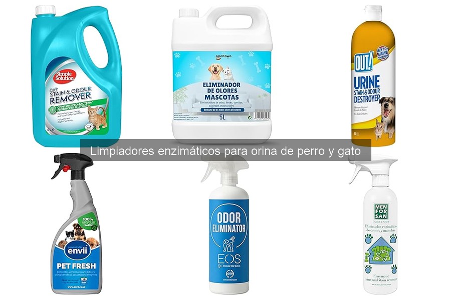 Cómo usar limpiadores enzimáticos para orina de mascotas