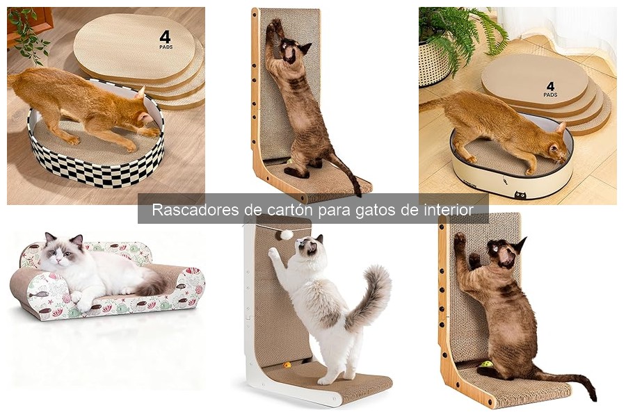 Cómo Usar Rascadores de Cartón para Gatos en Casa