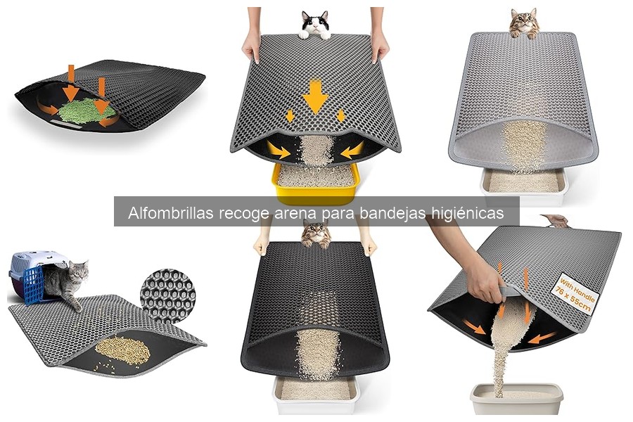 Comparativa: Alfombrillas recoge arena vs otros métodos de limpieza