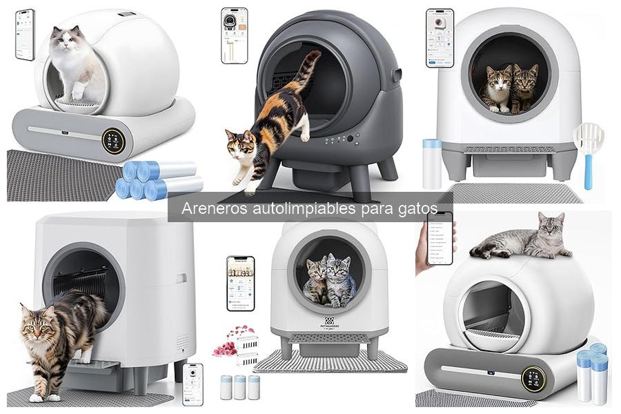 Comparativa Areneros Autolimpiables vs Tradicionales para Gatos
