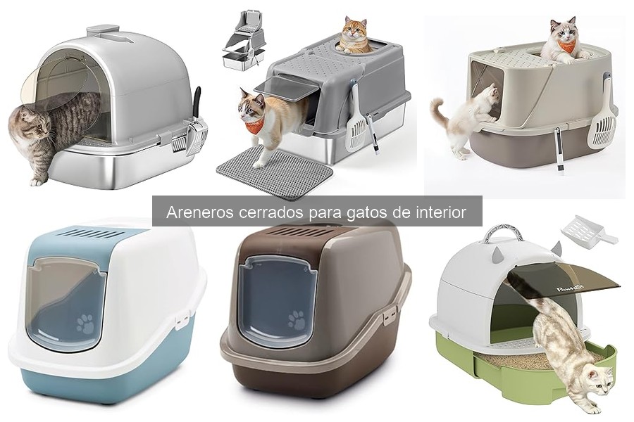 Comparativa: Areneros Cerrados vs. Abiertos para Gatos