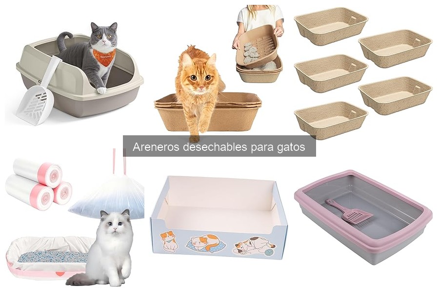 Comparativa: Areneros desechables vs. reutilizables para gatos