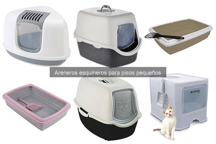 Comparativa: Areneros Esquineros vs. Areneros Tradicionales