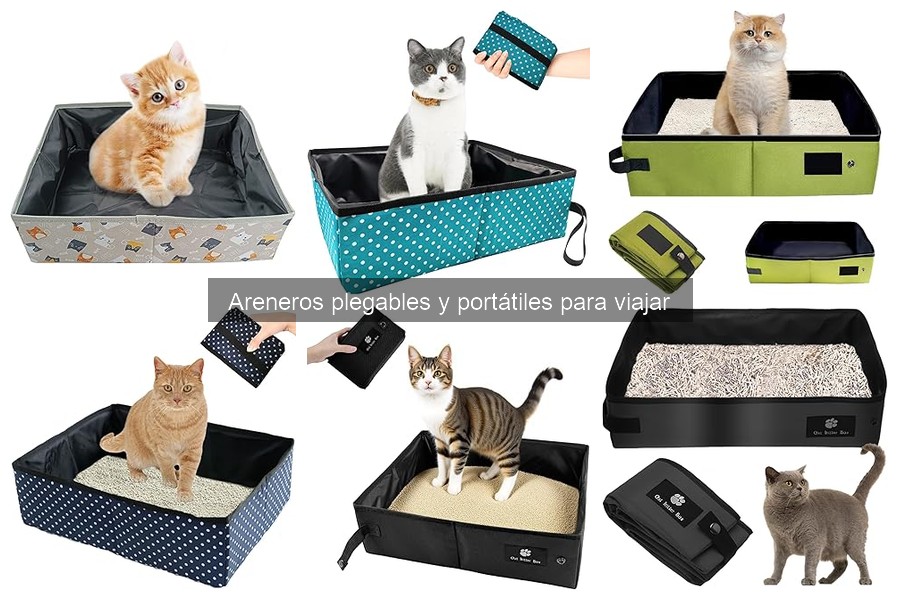 Comparativa: Areneros Plegables vs. Tradicionales de Plástico