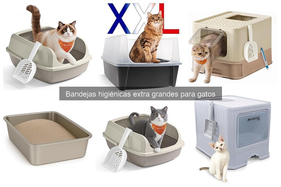 Comparativa Bandejas Higiénicas: Extra Grande vs. Estándar