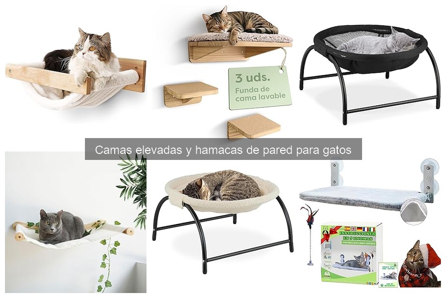 Comparativa: Camas Elevadas vs Hamacas de Pared para Gatos