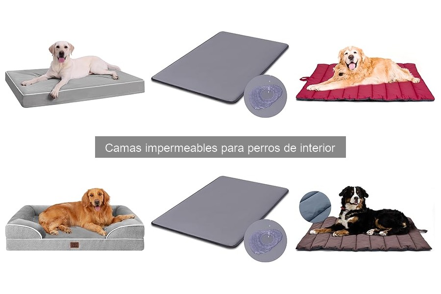 Comparativa: Camas Impermeables vs Tradicionales para Perros