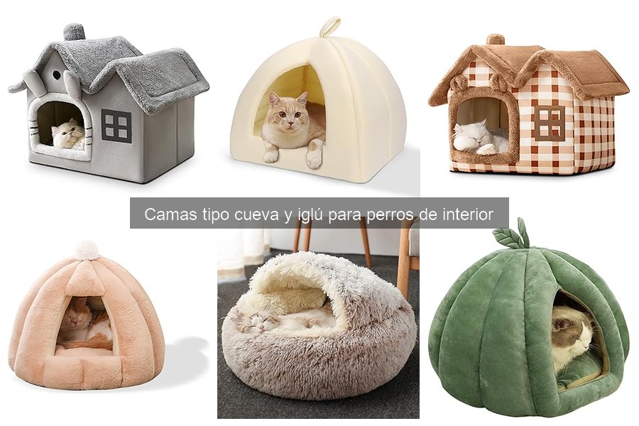 Comparativa: Camas tipo cueva vs iglú para perros de interior
