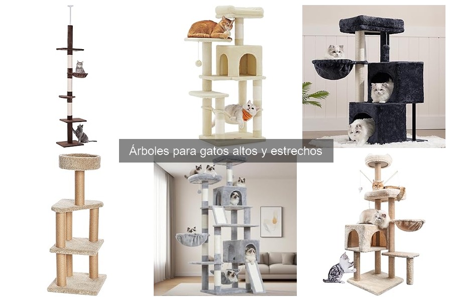 Comparativa de Árboles para Gatos Altos y Estrechos