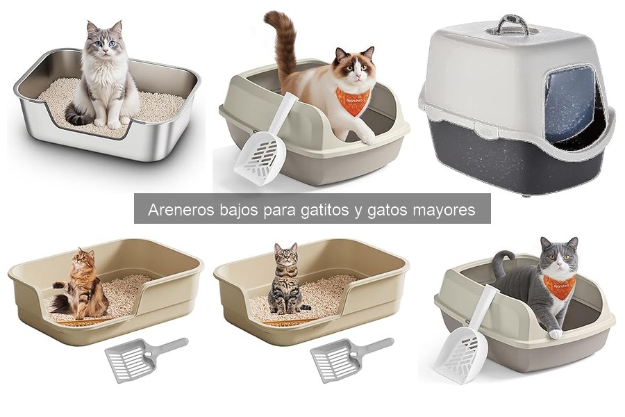 Comparativa de areneros bajos para gatos: mejores marcas 2023