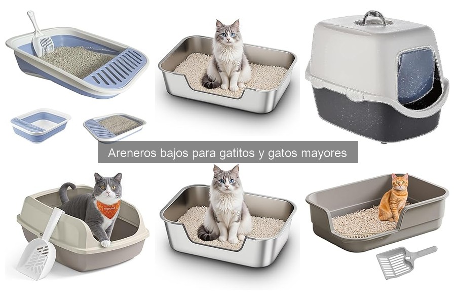 Comparativa de Areneros Bajos y Convencionales para Gatos