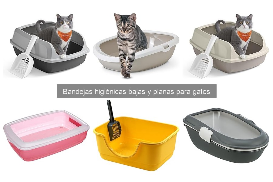 Comparativa de Bandejas Higiénicas Bajas para Gatos