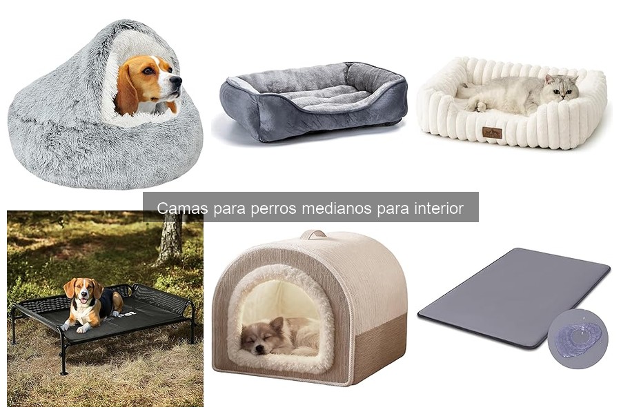 Comparativa de camas ortopédicas para perros medianos