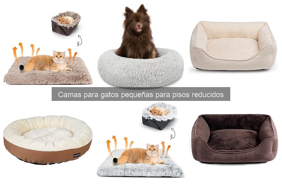 Comparativa de camas para gatos pequeñas: Mejores marcas y modelos