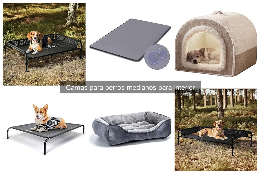 Comparativa de camas para perros medianos: invierno vs verano