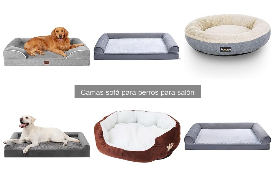 Comparativa de Camas Sofá para Perros: EHEYCIGA vs KSIIA vs Amazon Basics