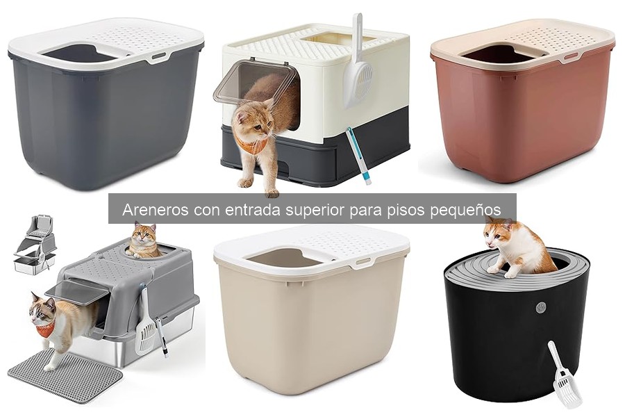 Comparativa de los Mejores Areneros con Entrada Superior