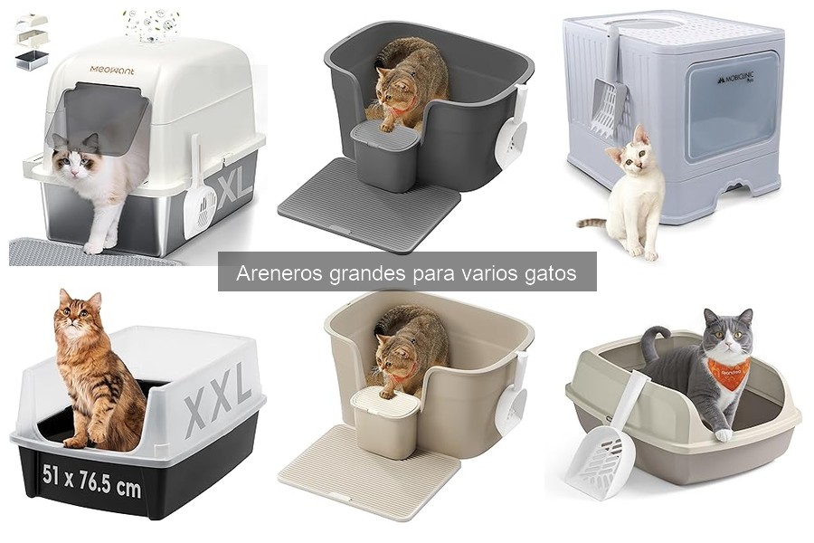 Comparativa de los Mejores Areneros Grandes para Varios Gatos