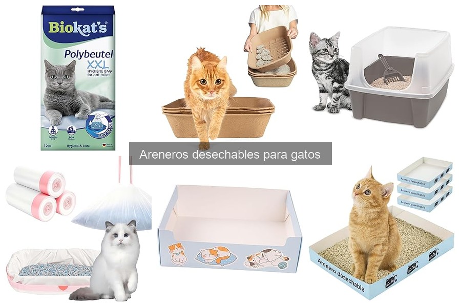 Comparativa de precios de areneros desechables para gatos