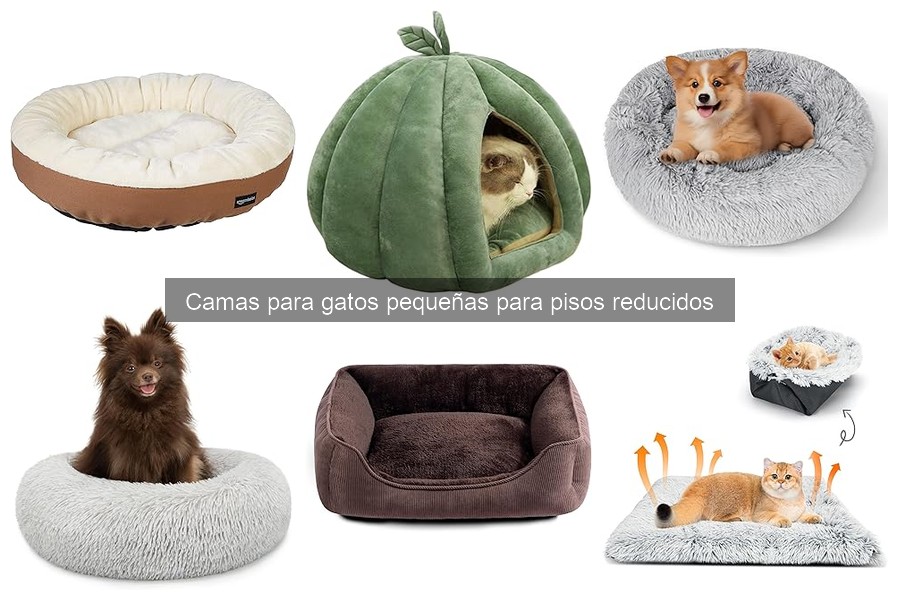 Comparativa de precios de camas para gatos pequeñas