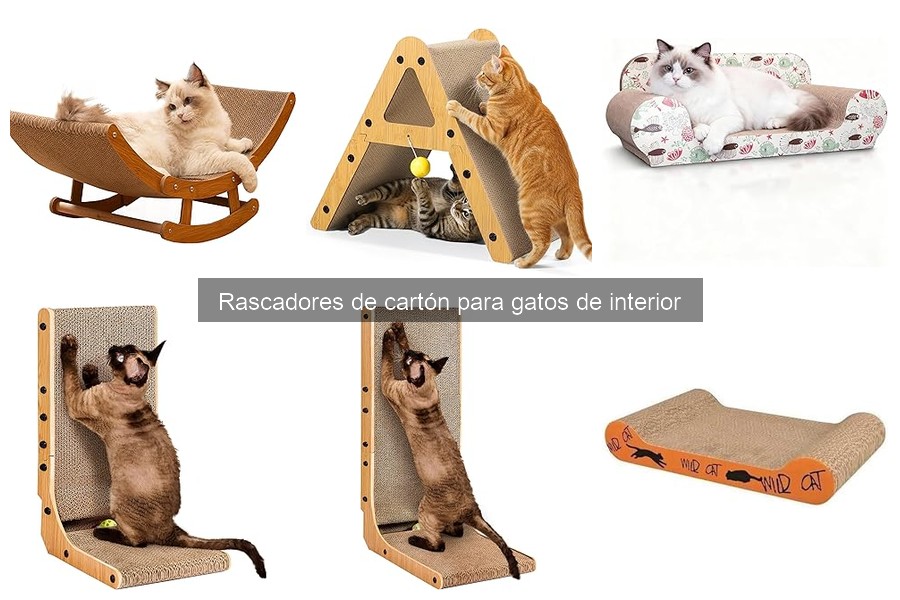 Comparativa de Rascadores de Cartón y Otros Materiales para Gatos