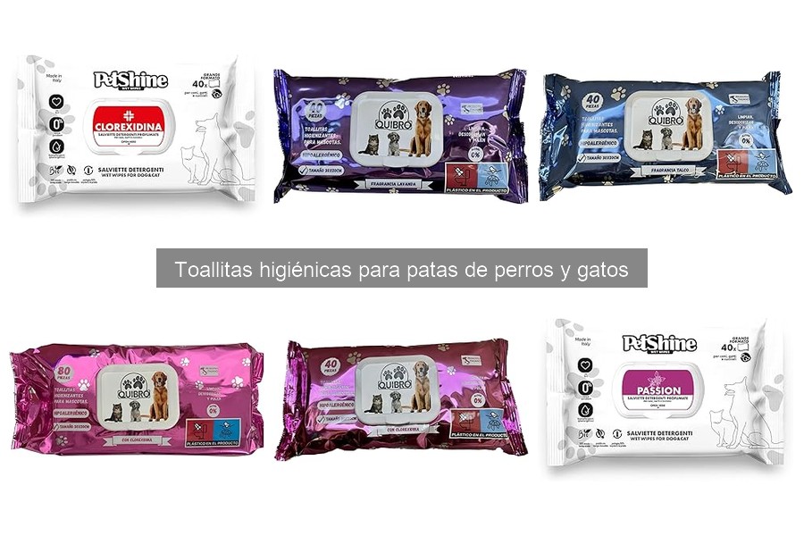 Comparativa: Toallitas húmedas vs. secas para mascotas