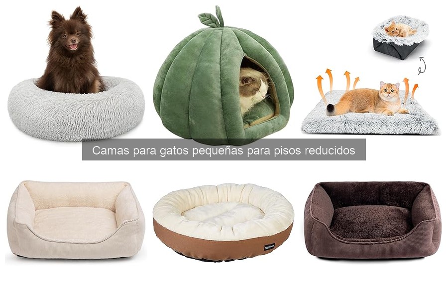 Consejos de Uso y Mantenimiento para Camas de Gato Pequeñas