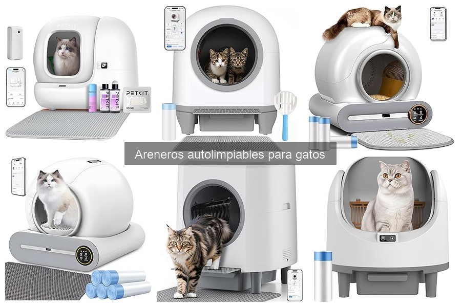 Consejos para Acostumbrar a Tu Gato a un Arenero Autolimpiable