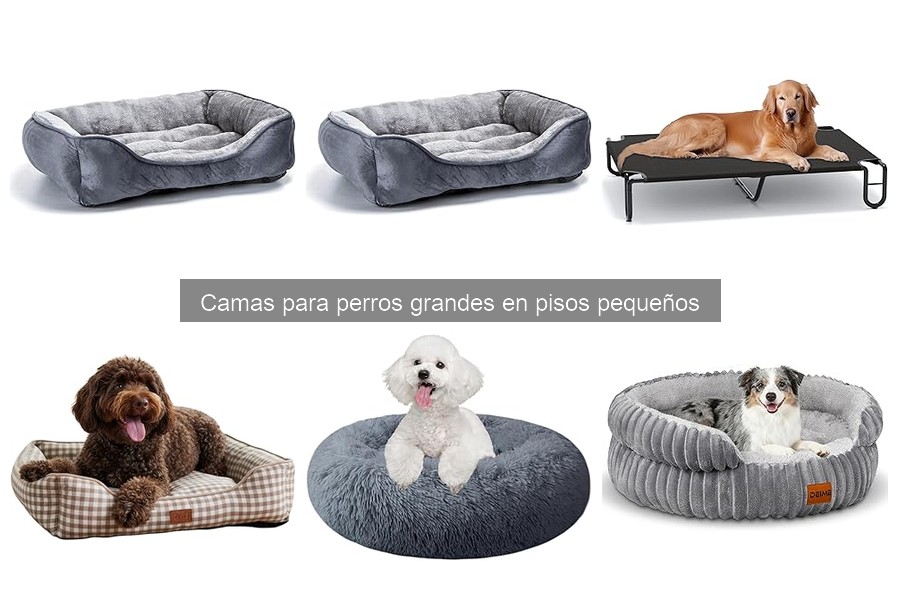 Consejos para Elegir Camas para Perros Grandes en Pisos Pequeños