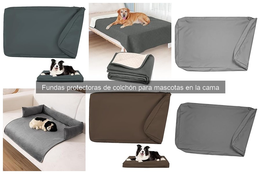 Consejos para Elegir Fundas Protectores de Colchón para Mascotas