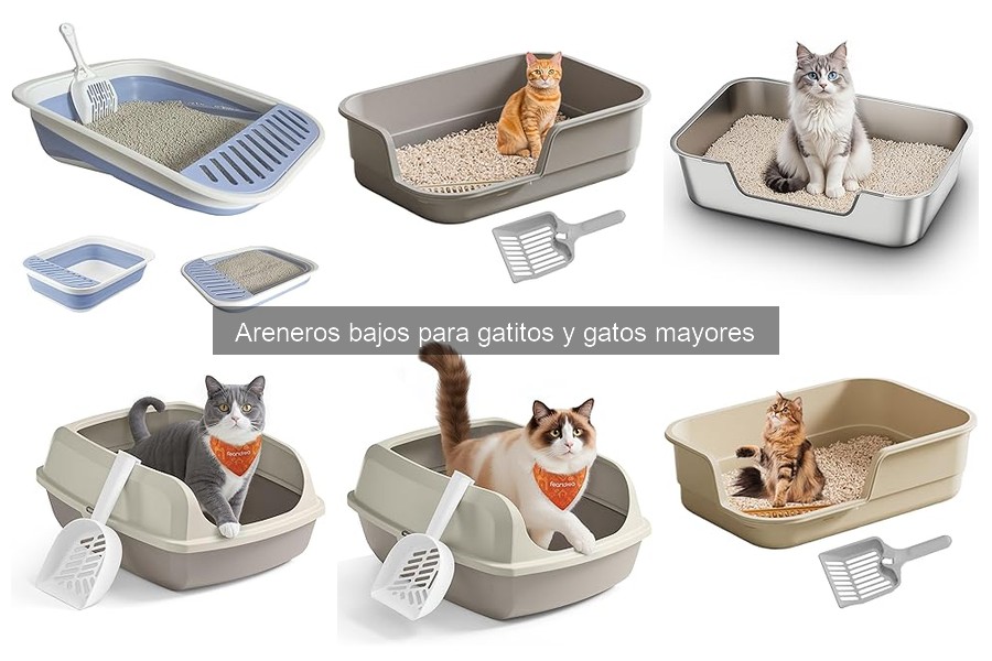 Consejos para Gatos Reacios a Usar Areneros Bajos