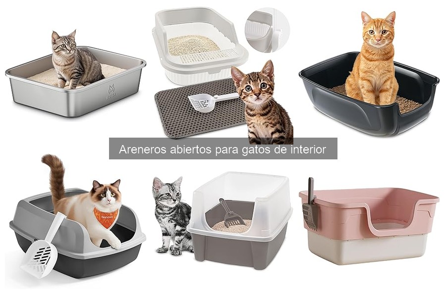 Consejos para Ubicar el Arenero Abierto en Casa