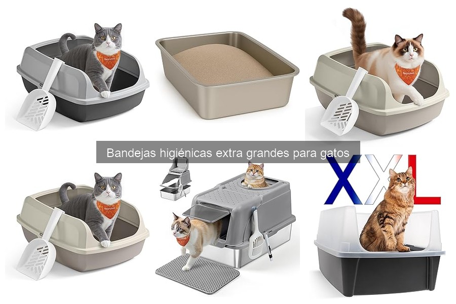 Criterios para elegir bandejas higiénicas extra grandes para gatos