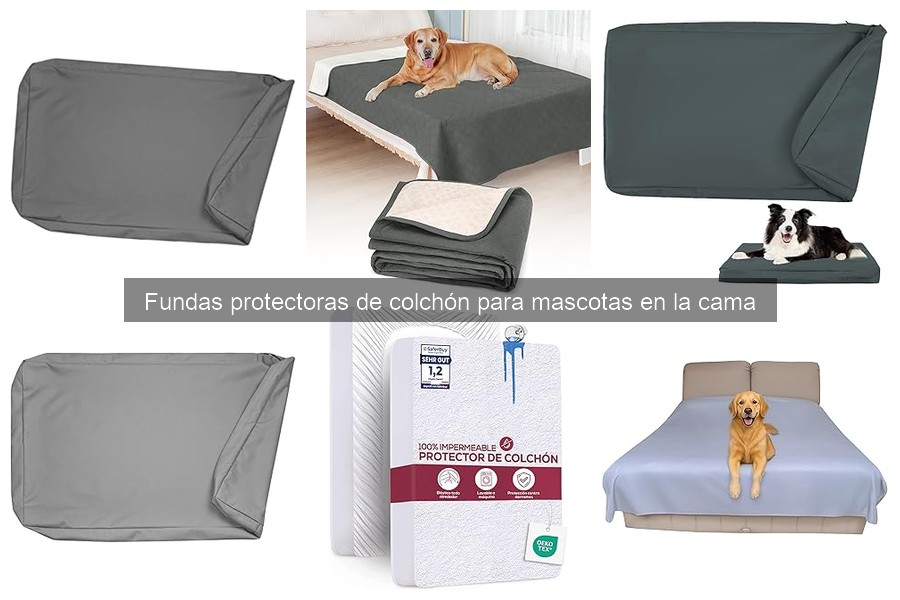 Cuándo reemplazar una funda protectora de colchón para mascotas