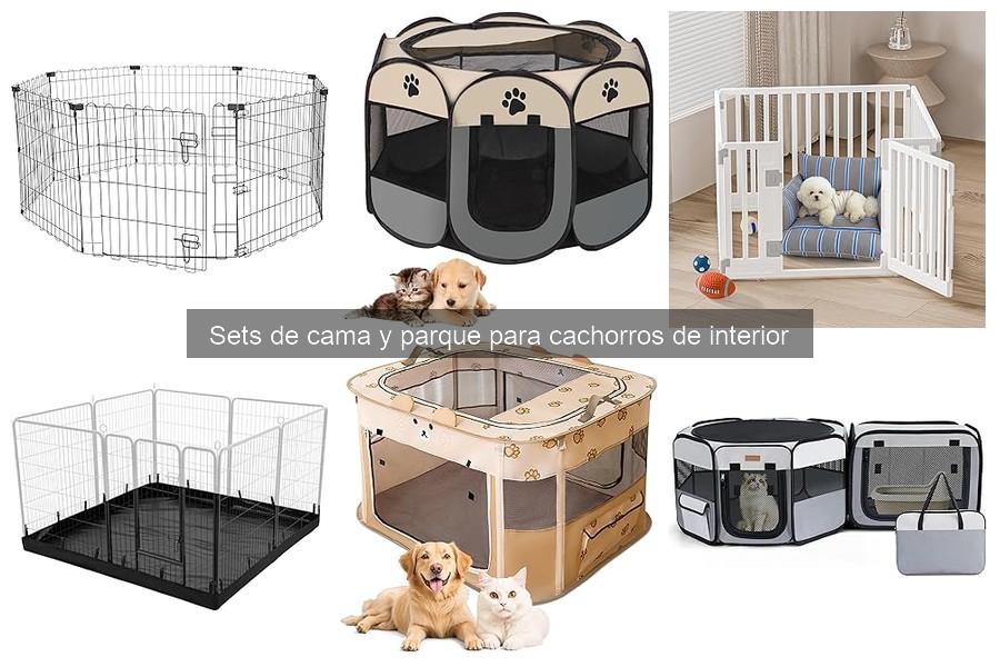 ¿Cuánto gastar en un set de cama y parque para cachorros?
