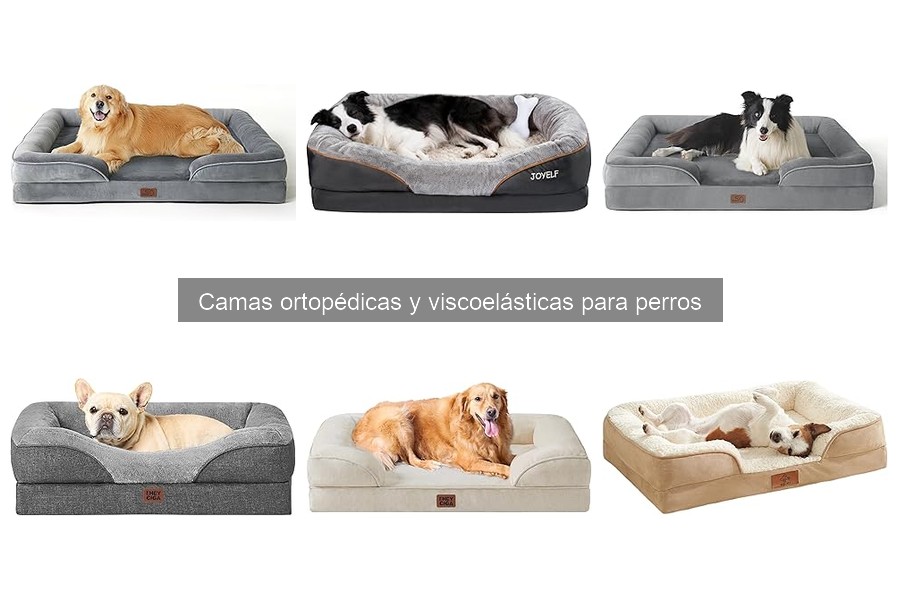 Cuidados y mantenimiento de camas ortopédicas para perros