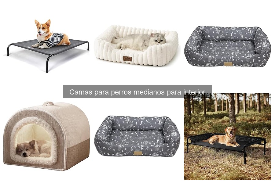 Cuidados y Mantenimiento de Camas para Perros Medianos