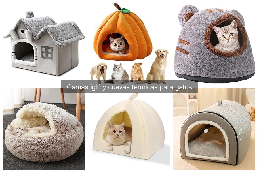 Descubre las camas iglú y cuevas térmicas para gatos
