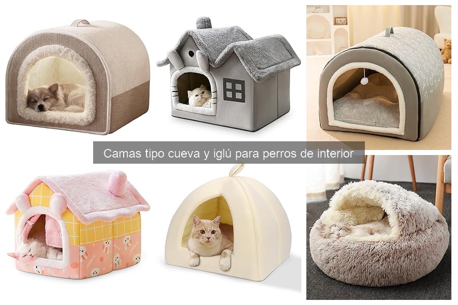 Descubre las camas tipo cueva e iglú para perros y sus beneficios