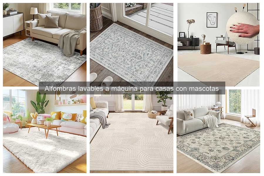Dónde comprar alfombras lavables a máquina y comparar precios