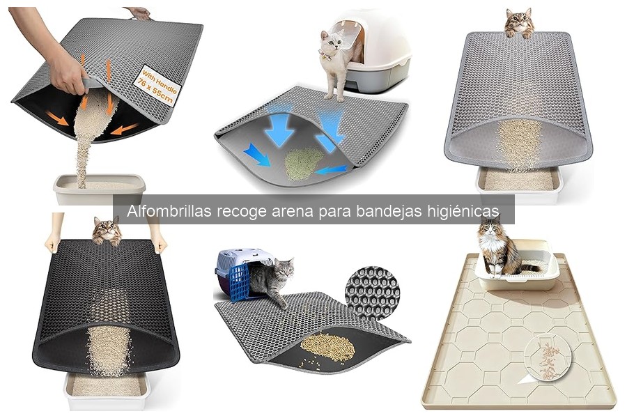 Dónde comprar alfombrillas recoge arena y sus precios