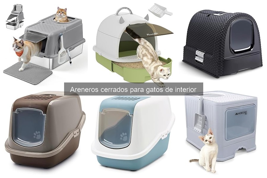 Dónde comprar areneros cerrados para gatos: guía completa